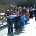 Tourists move to on side as Zippy leads the conga.