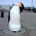 One of the penguins outside Dundee's Discovery Centre.