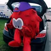 The Meningitis Research Foundation's mascot, Marvin, hitches a left around the paddock.