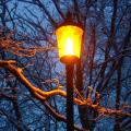 A street lamp in Royal Victoria Park illuminates a snow covered tree.
